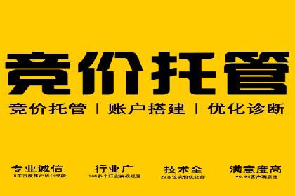 竞价广告案例分享：XX电商平台的成功秘诀